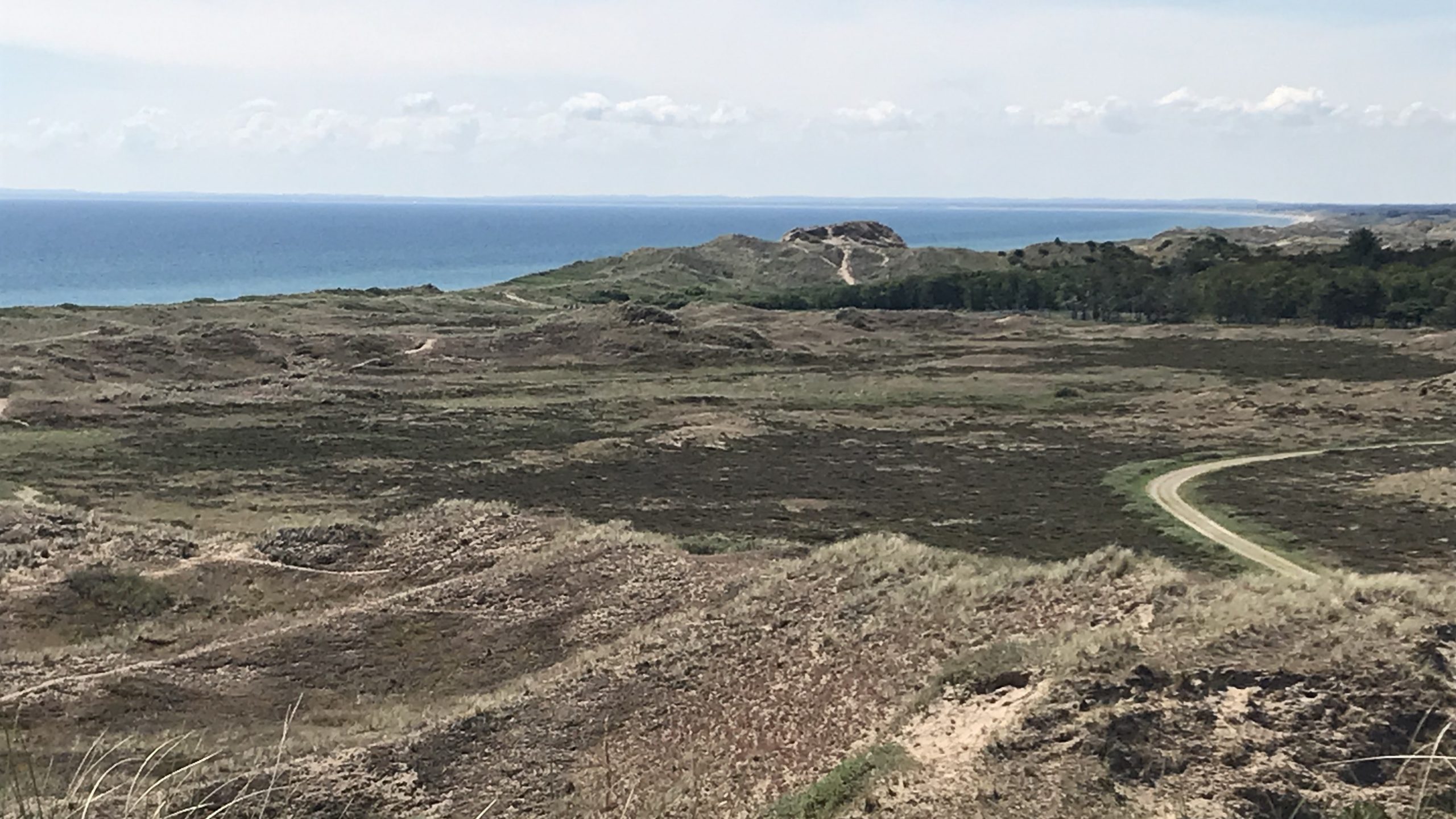 Naturen med en ferielejlighed i Skagen